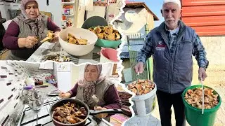 Anneme mantar getiriyorum  annemle öğlen yemeği
