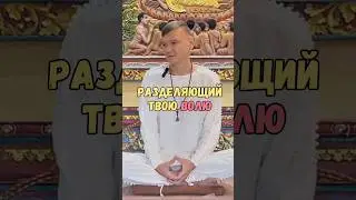 Разделяющий твою волю 