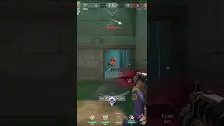 I swear They put BOT in Valorant