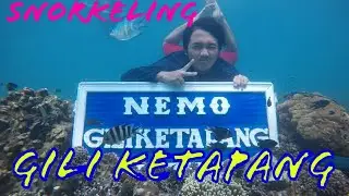 Snorkeling Gili Ketapang Probolinggo | Vlog Ferdy Tv #exploreprobolinggo