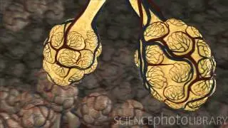 Healthcare & Medicine showreel