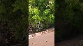 мягкая кровля, 1 часть