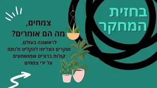 מהם הצלילים שעושה העגבנייה? ואיך נשמע הקקטוס?