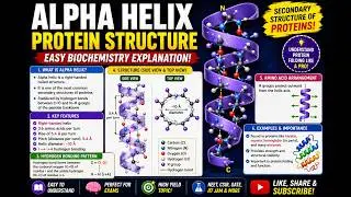 #biology #science #chemistry #biomolecules #DNA ##nucleic acid #proteins structure #trending #viral