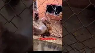 Понедельник Близок#москва