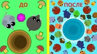 MOPE.IO CHEERFUL CONCERT TOP PARTY GAME MOPE IO