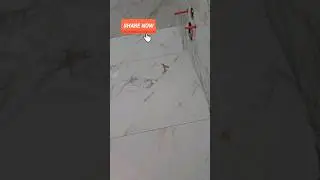 15 августа 2024 г.