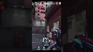 Ace with my boi BRIMSTONE 