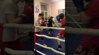 Тренировка по боксу