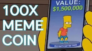 NEW 100X MEME COIN ON PULSECHAIN