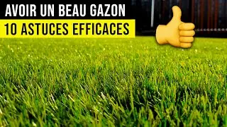 How to Have a BEAUTIFUL LAWN? 10 Pro Tips! 👍