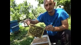 Приглашаю на мастер класс матководство