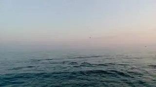 Яхта ARIAL   Bavaria 42 1 Вид на море и дельфинов