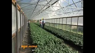 Глава Боровичского муниципального района Игорь Швагирев побывал в крестьянском хозяйстве 