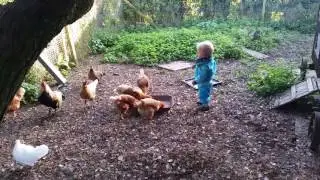 Cooking for chickens