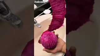 Китай 2019 Хайнань Санья