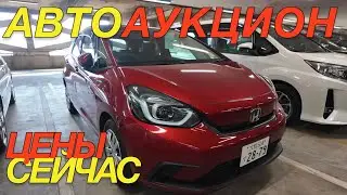 ARE THE JAPANESE SELLING OUT? HONDA FIT MAZDA 2 TOYOTA RAIZE COROLLA ALLION CITROEN C3 AEROCROSS