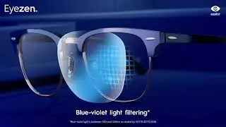 B2C Eyezen