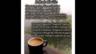 bəlkədə bir gün