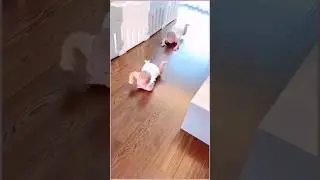 😍😍😍😘😘😘😂😂😂