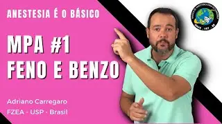 5⃣ Premedication (Benzodiazepines and Phenotiazines) | Vet Anesthesia Unravelled #5