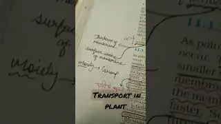 transport in plants                         #neet #neetbiology #neet2022