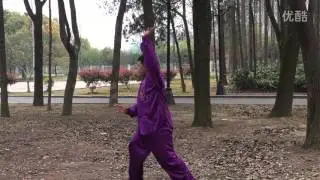 功夫架二路