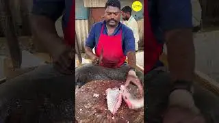 KASIMEDU SPEED SELVAM FISH CUTTING VIDEO #kasimeduselvam #shorts #bigfishcutting #youtube #bigfish