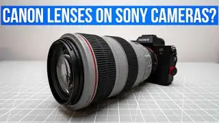 Canon EF L lenses with Sony camera bodies   4K