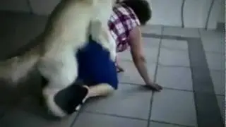 Dog Fucks Grandma!