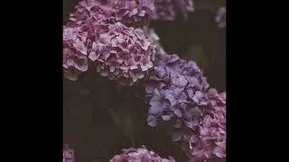 [FREE] Nas x J. Cole x Kendrick Lamar x Mac Miller x Isaiah Rashad x Logic Type Beat | 