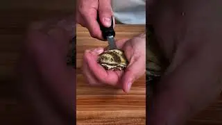 How To Shuck Oysters