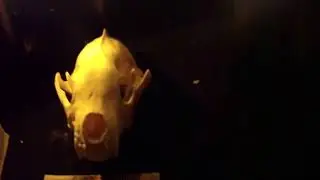 С ЧЕРЕПОМ РОСОМАХИ. ДЛЯ ПРАКТИКОВ