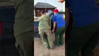 6 июня 2023 г.