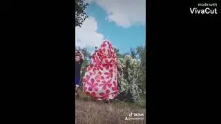 Песня Юлия Видео из ТикТока ( 抖音 ) TikTok ТРЕНДЫ TIK TOK | ЭТИ ПЕСНИ ИЩУТ ВСЕ | ТИК ТОК 2021