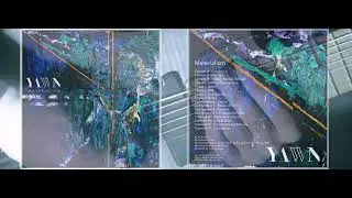 Yawn - Tokamak IV : Fluorescence & Entropy