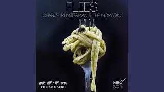 Flies (Live) (feat. The Nomadic)