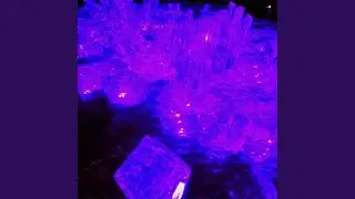 Ice to Ice