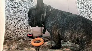 Олег! Ну куда ты лезешь?