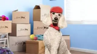 Rollo - Shipping is too easy