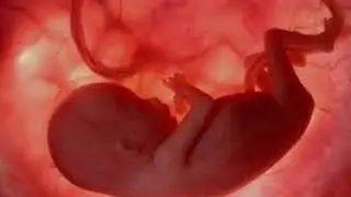 PROGRAMACIÒN Subconsciente desde el EMBARAZO