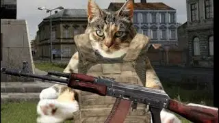 I love meeting people in Dayz
