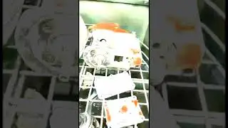 Струйная (автоматическая) мойка может стать идеальным оборудованием для удаления загрязнений!