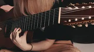 Beethoven - Symphony 7 (Allegretto) on 10 string guitar | Marina's Decacorde