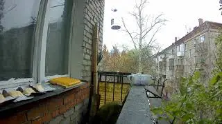Самка дятла 0-2 мин, со 2 мин - дятел на палке.