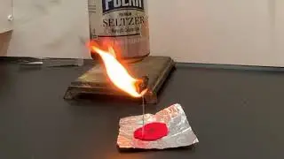 Cheeto Calorimetry Lab 2024 Version