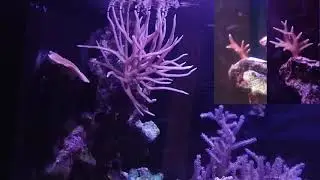 Rico's Nano Challenge 2018