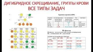 ДИГИБРИДНОЕ СКРЕЩИВАНИЕ. ГРУППЫ КРОВИ. ВСЕ ТИПЫ ЗАДАЧ,
