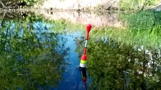 ДУШЕВНАЯ РЫБАЛКА НА ПОПЛАВОК