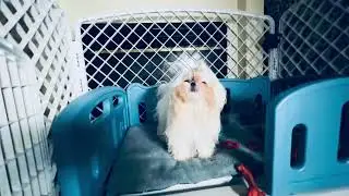Купила малышам кроватки Мачо и Микки ✨микро 🧸Китай 🇨🇳 Корея 🇰🇷 и ясельная подготовительная группа